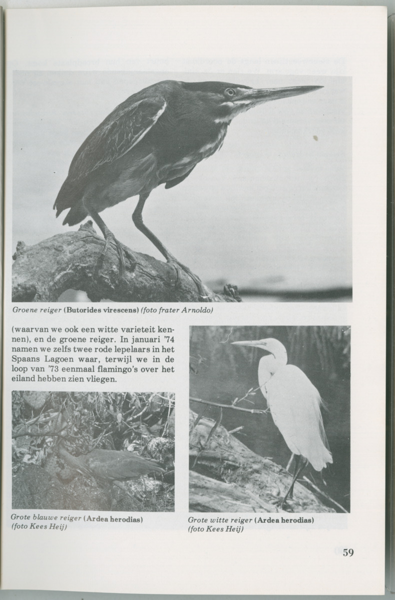 Uitgaven Stinapa - No. 14 - Aruba, zijn voorgeschiedenis zijn dieren - New Page
