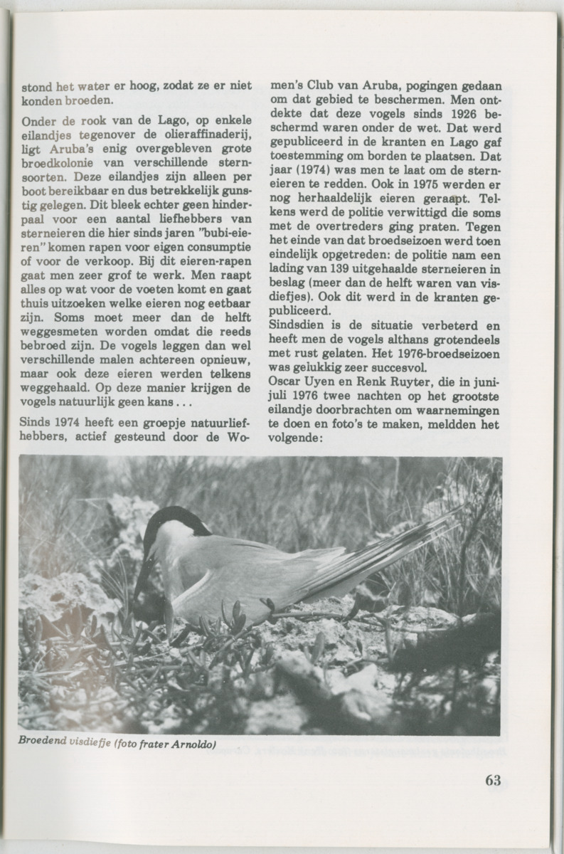 Uitgaven Stinapa - No. 14 - Aruba, zijn voorgeschiedenis zijn dieren - New Page