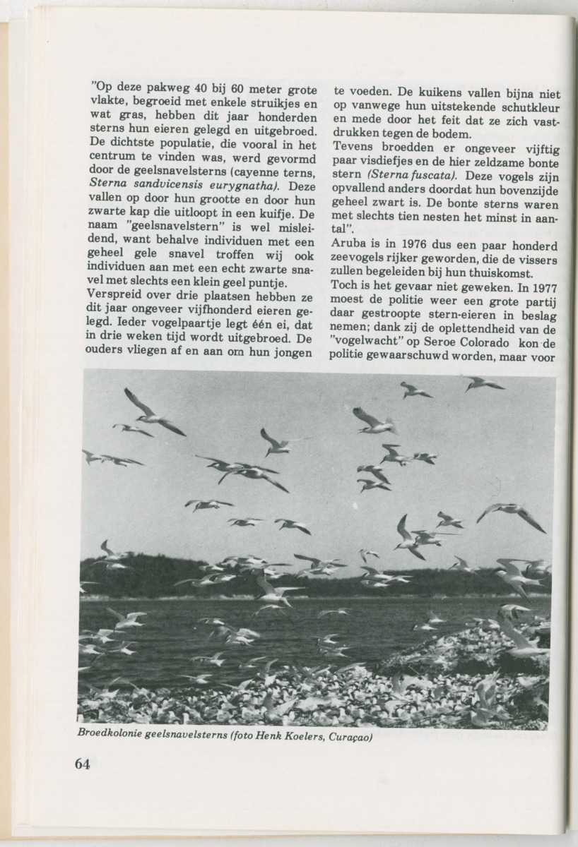 Uitgaven Stinapa - No. 14 - Aruba, zijn voorgeschiedenis zijn dieren - New Page