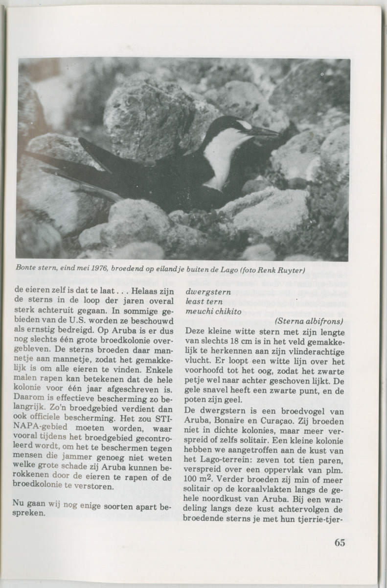 Uitgaven Stinapa - No. 14 - Aruba, zijn voorgeschiedenis zijn dieren - New Page