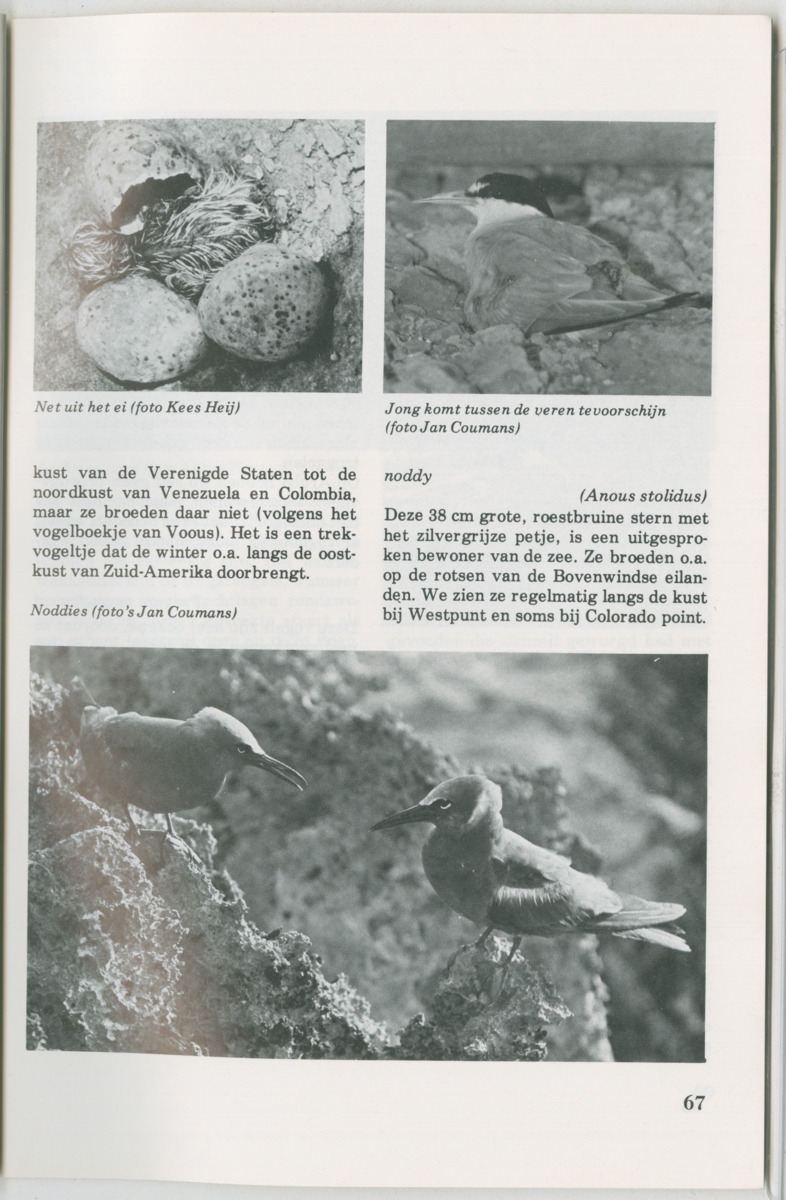 Uitgaven Stinapa - No. 14 - Aruba, zijn voorgeschiedenis zijn dieren - New Page
