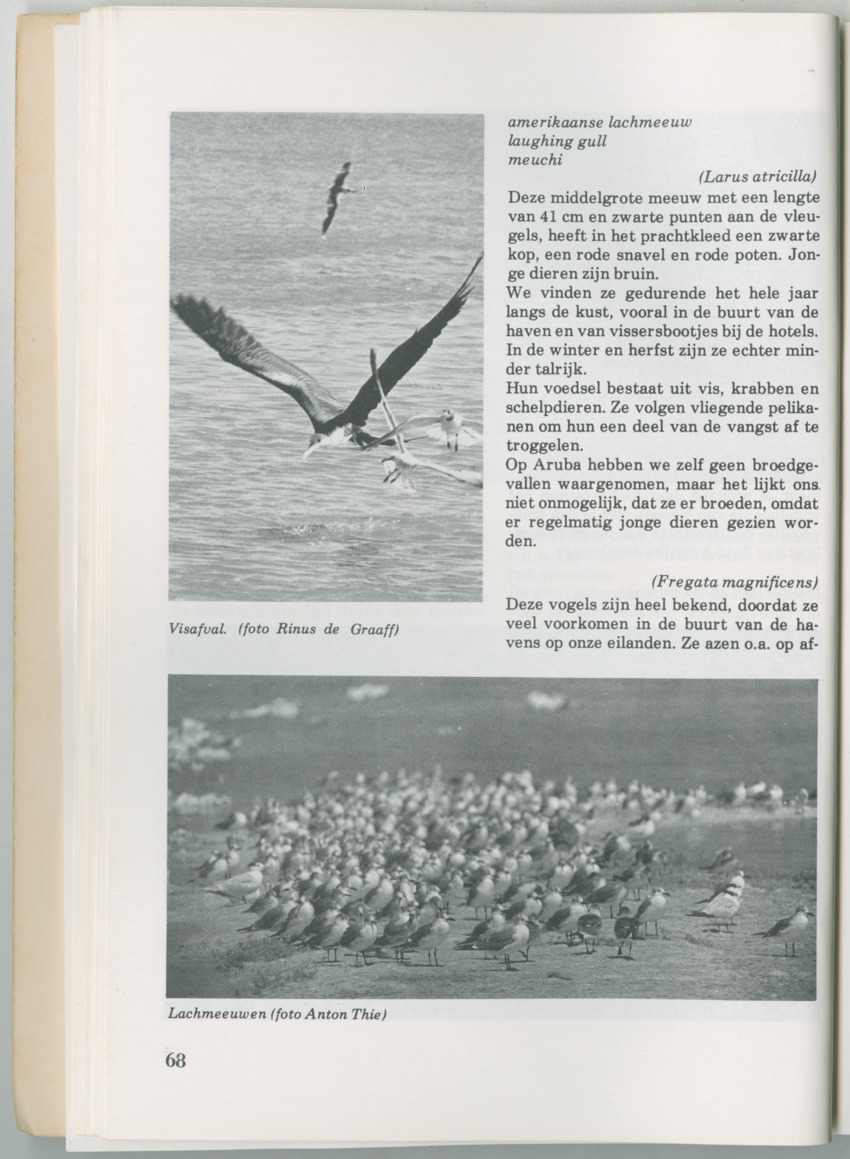 Uitgaven Stinapa - No. 14 - Aruba, zijn voorgeschiedenis zijn dieren - New Page
