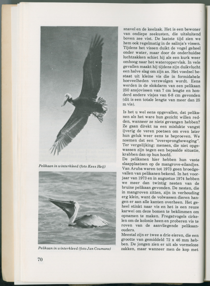 Uitgaven Stinapa - No. 14 - Aruba, zijn voorgeschiedenis zijn dieren - New Page