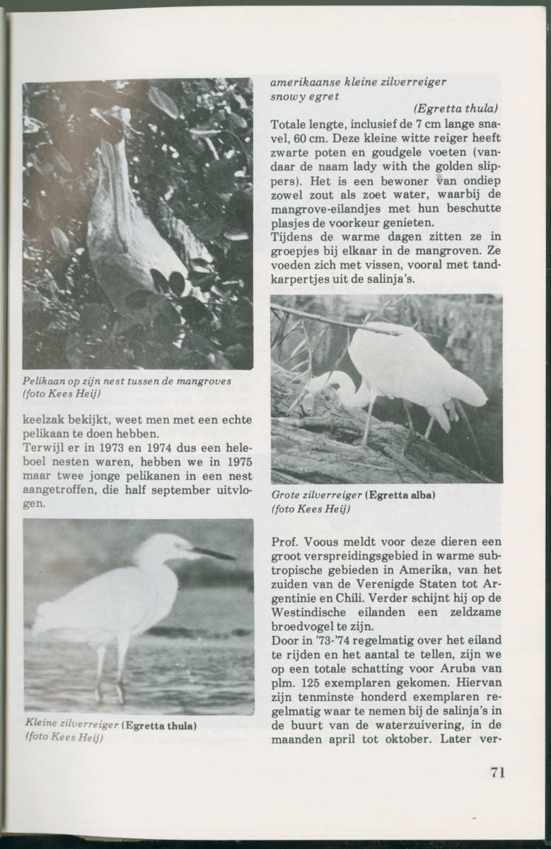 Uitgaven Stinapa - No. 14 - Aruba, zijn voorgeschiedenis zijn dieren - New Page