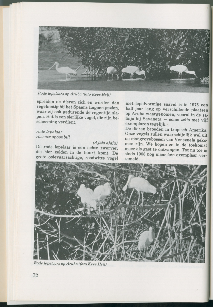Uitgaven Stinapa - No. 14 - Aruba, zijn voorgeschiedenis zijn dieren - New Page