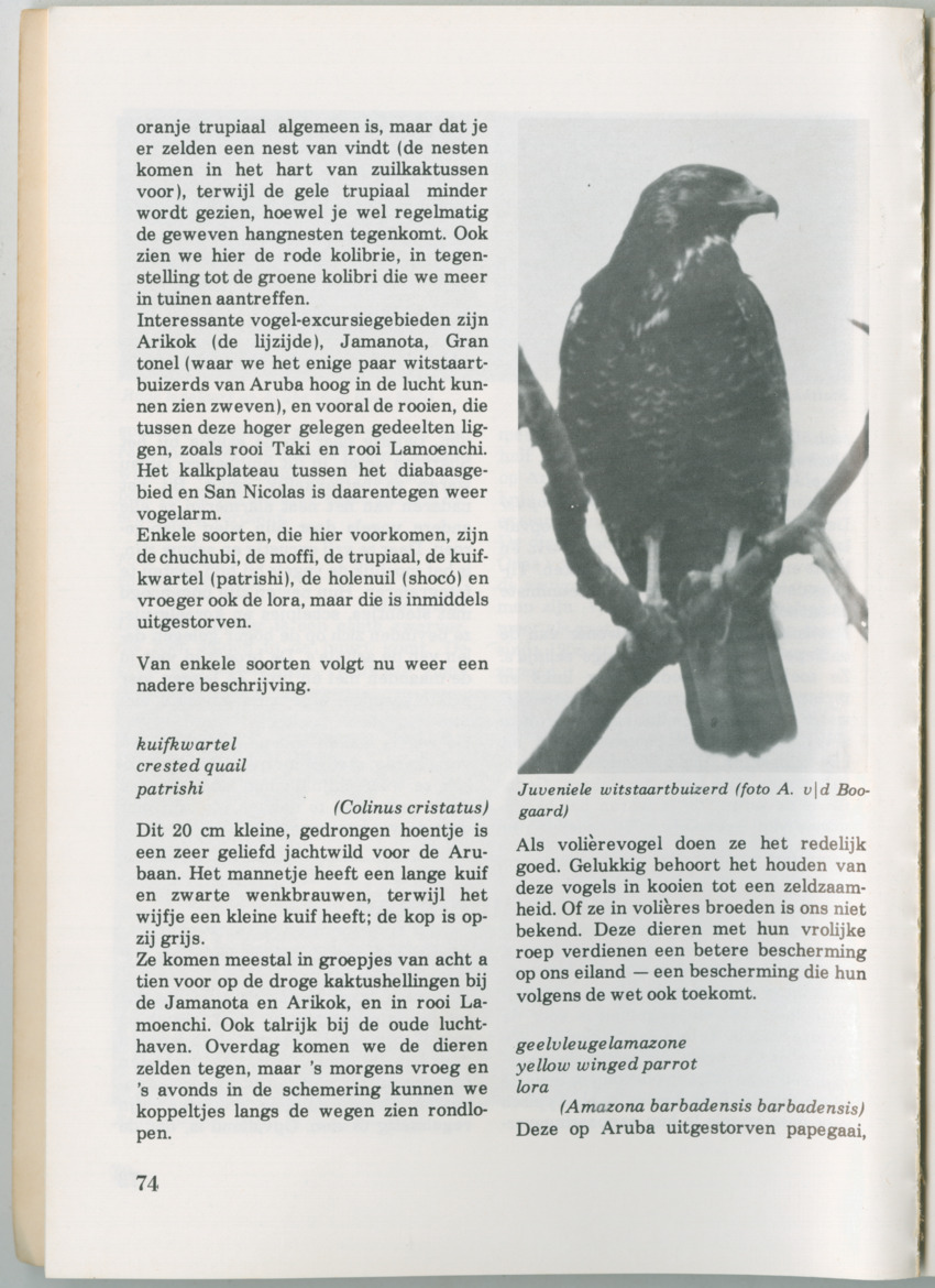 Uitgaven Stinapa - No. 14 - Aruba, zijn voorgeschiedenis zijn dieren - New Page