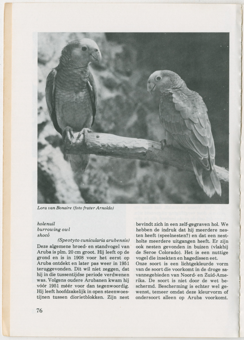 Uitgaven Stinapa - No. 14 - Aruba, zijn voorgeschiedenis zijn dieren - New Page