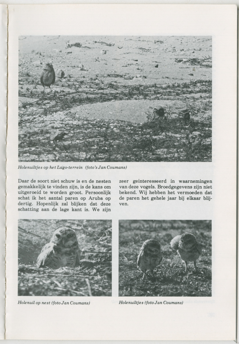 Uitgaven Stinapa - No. 14 - Aruba, zijn voorgeschiedenis zijn dieren - New Page