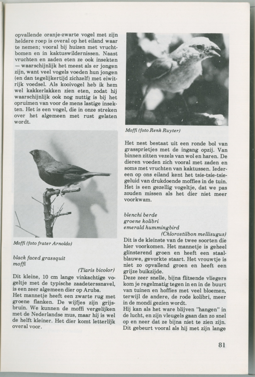 Uitgaven Stinapa - No. 14 - Aruba, zijn voorgeschiedenis zijn dieren - New Page