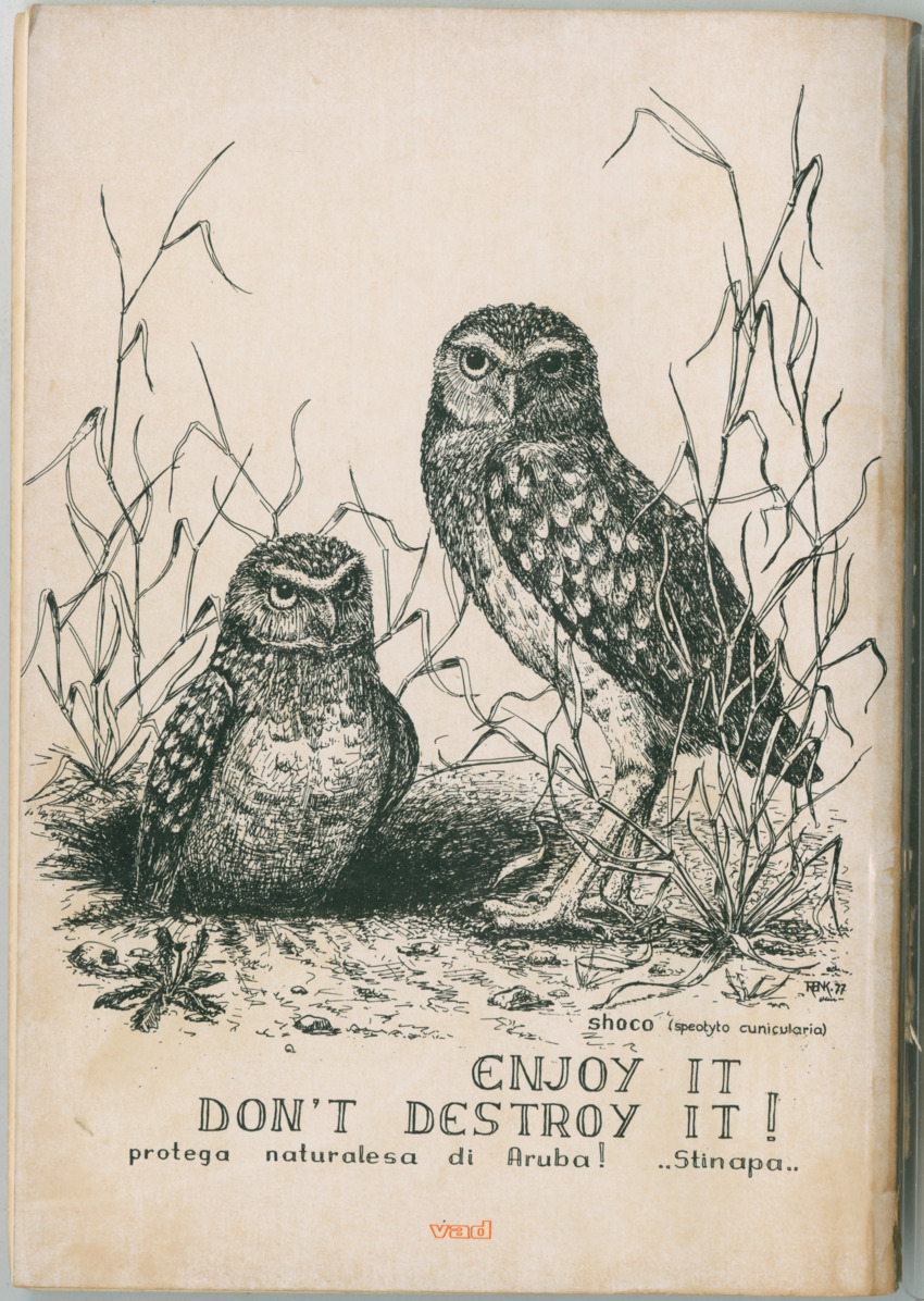 Uitgaven Stinapa - No. 14 - Aruba, zijn voorgeschiedenis zijn dieren - New Page