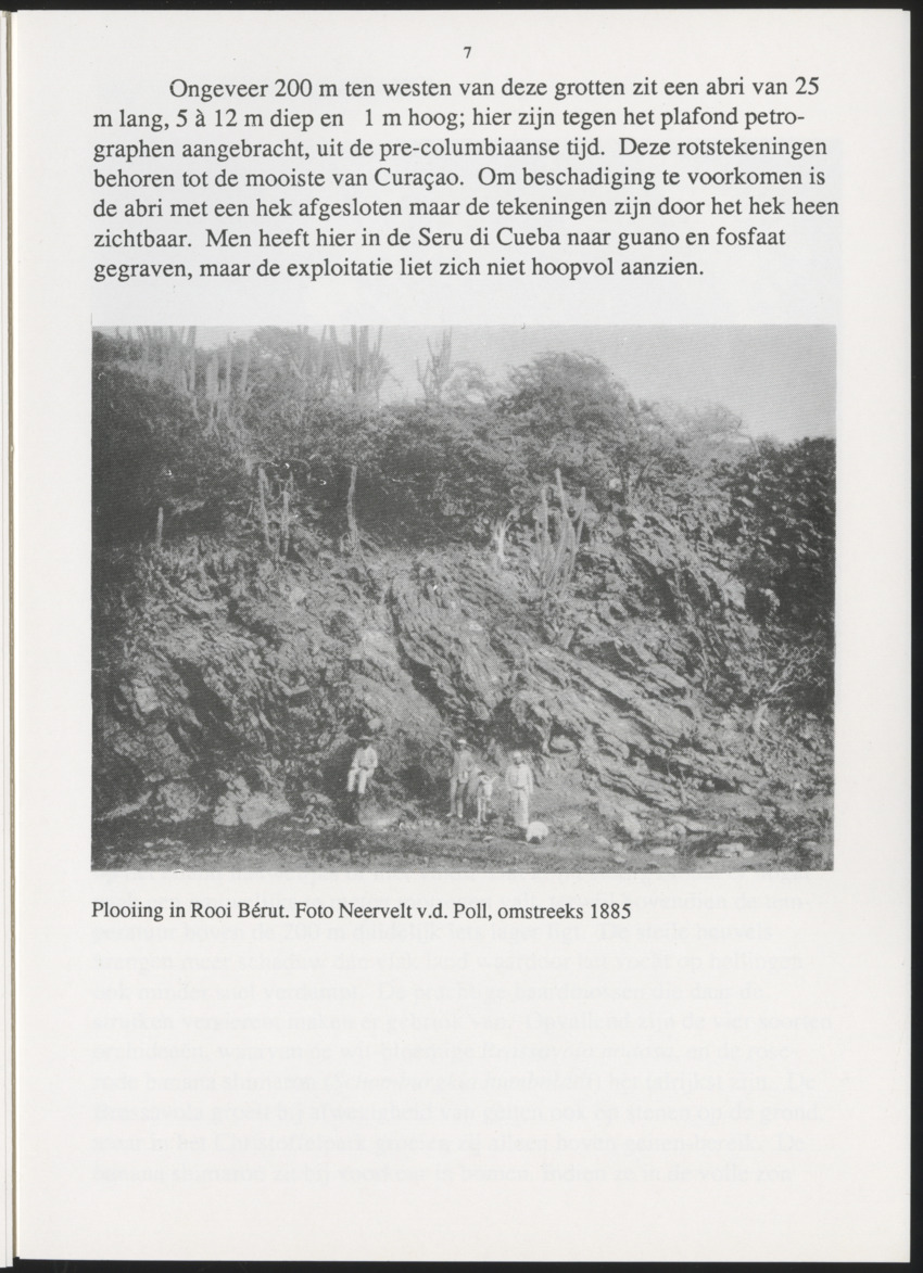 Uitgaven Stinapa - No. 35 - Plantage Savonet, Verleden en toekomst - New Page