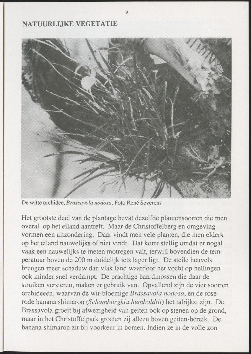 Uitgaven Stinapa - No. 35 - Plantage Savonet, Verleden en toekomst - New Page