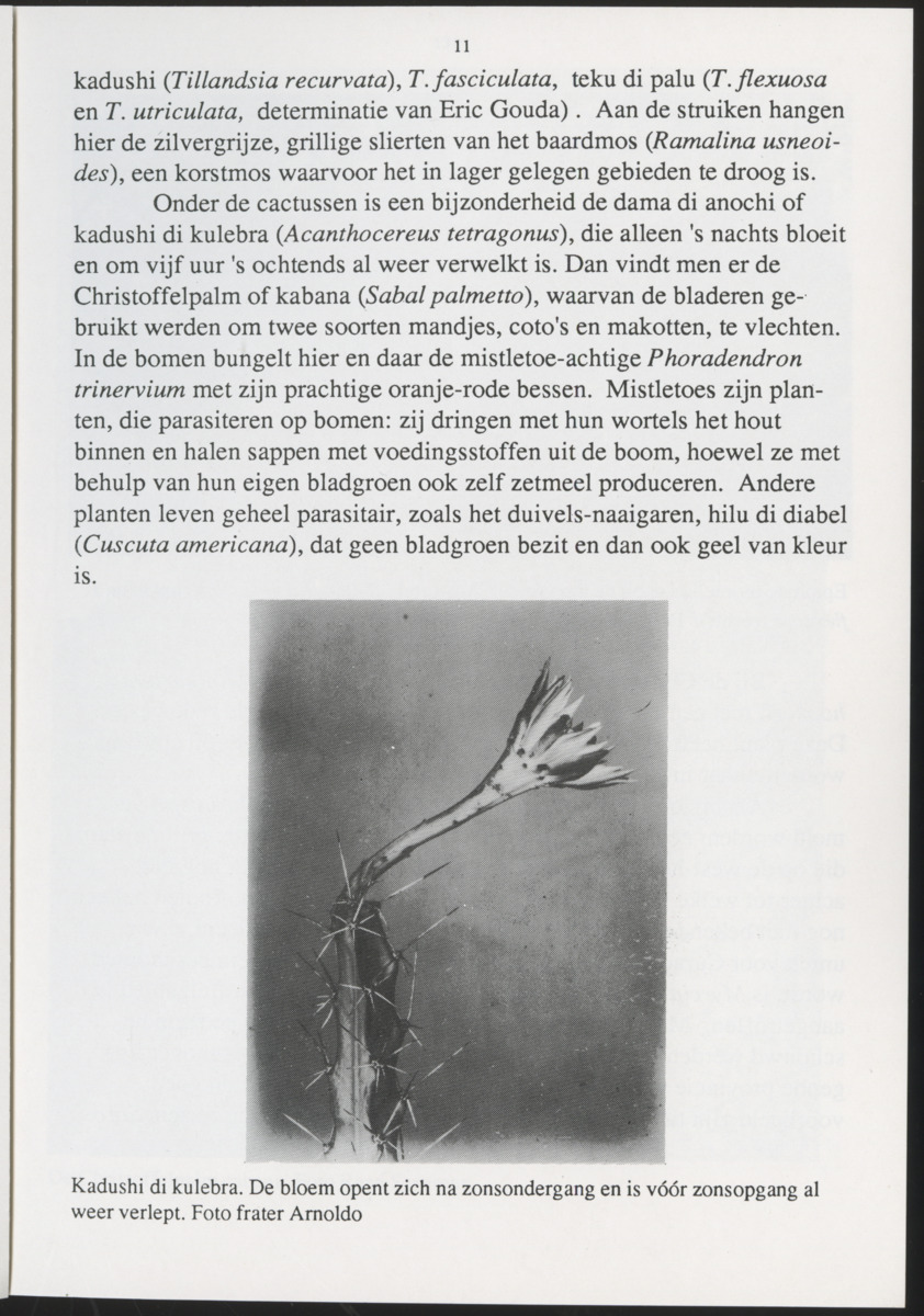 Uitgaven Stinapa - No. 35 - Plantage Savonet, Verleden en toekomst - New Page