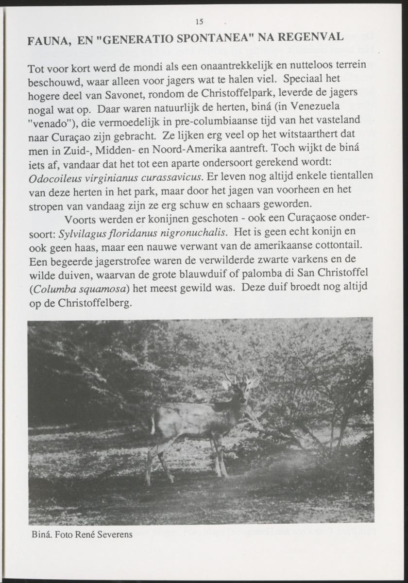 Uitgaven Stinapa - No. 35 - Plantage Savonet, Verleden en toekomst - New Page