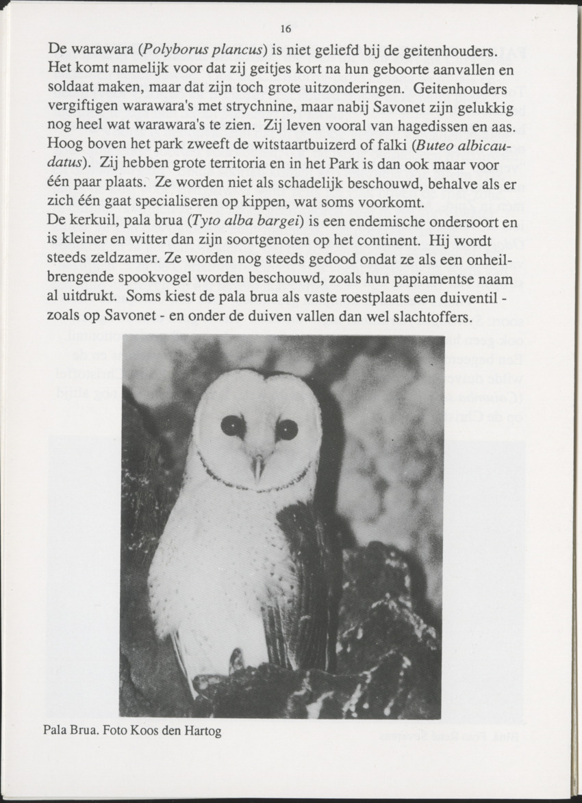 Uitgaven Stinapa - No. 35 - Plantage Savonet, Verleden en toekomst - New Page