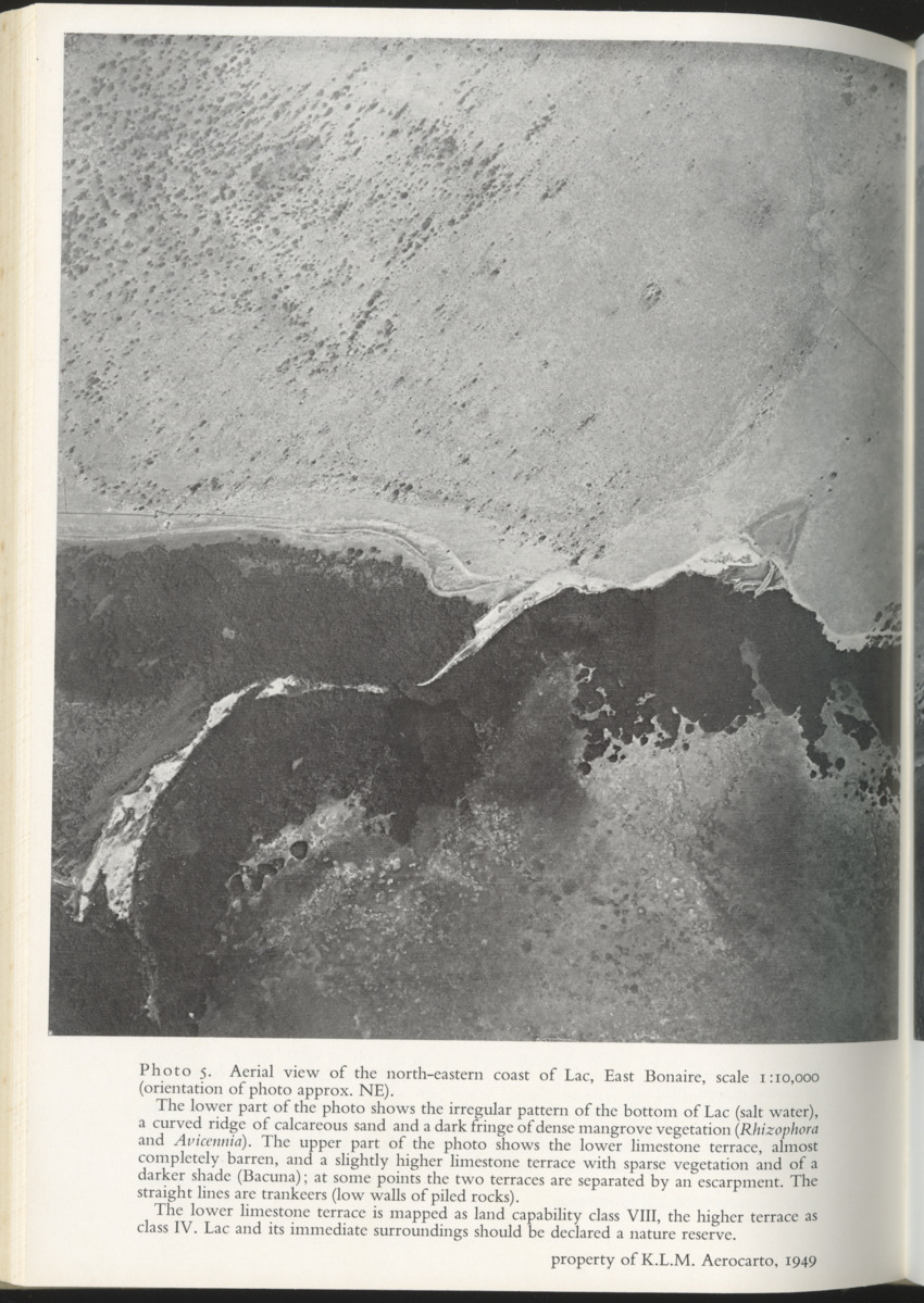 Photo-geological observations and land capability & land use survey of the Island of Bonaire (Netherlands Antilles) - New Page