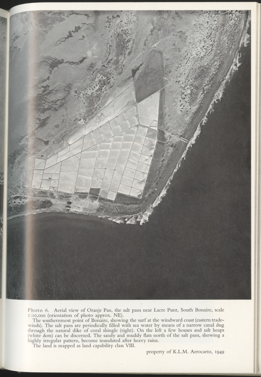 Photo-geological observations and land capability & land use survey of the Island of Bonaire (Netherlands Antilles) - New Page
