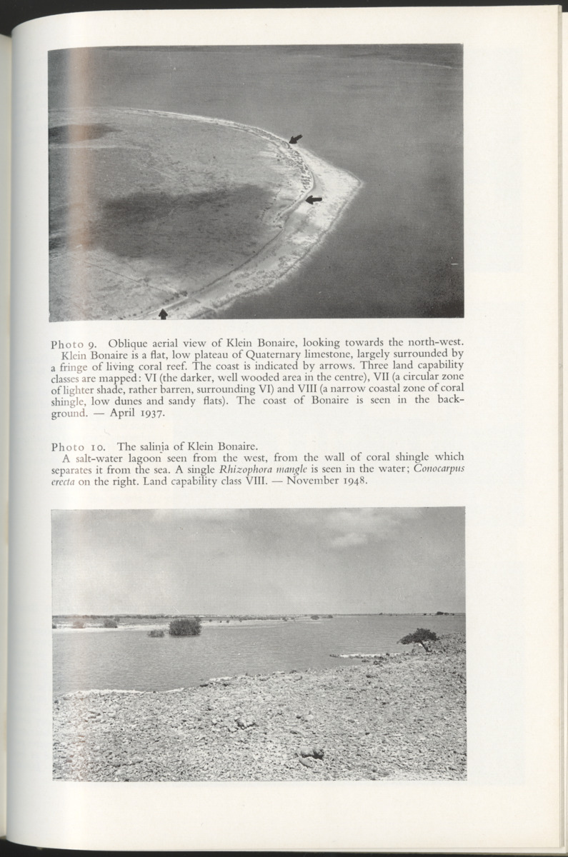 Photo-geological observations and land capability & land use survey of the Island of Bonaire (Netherlands Antilles) - New Page