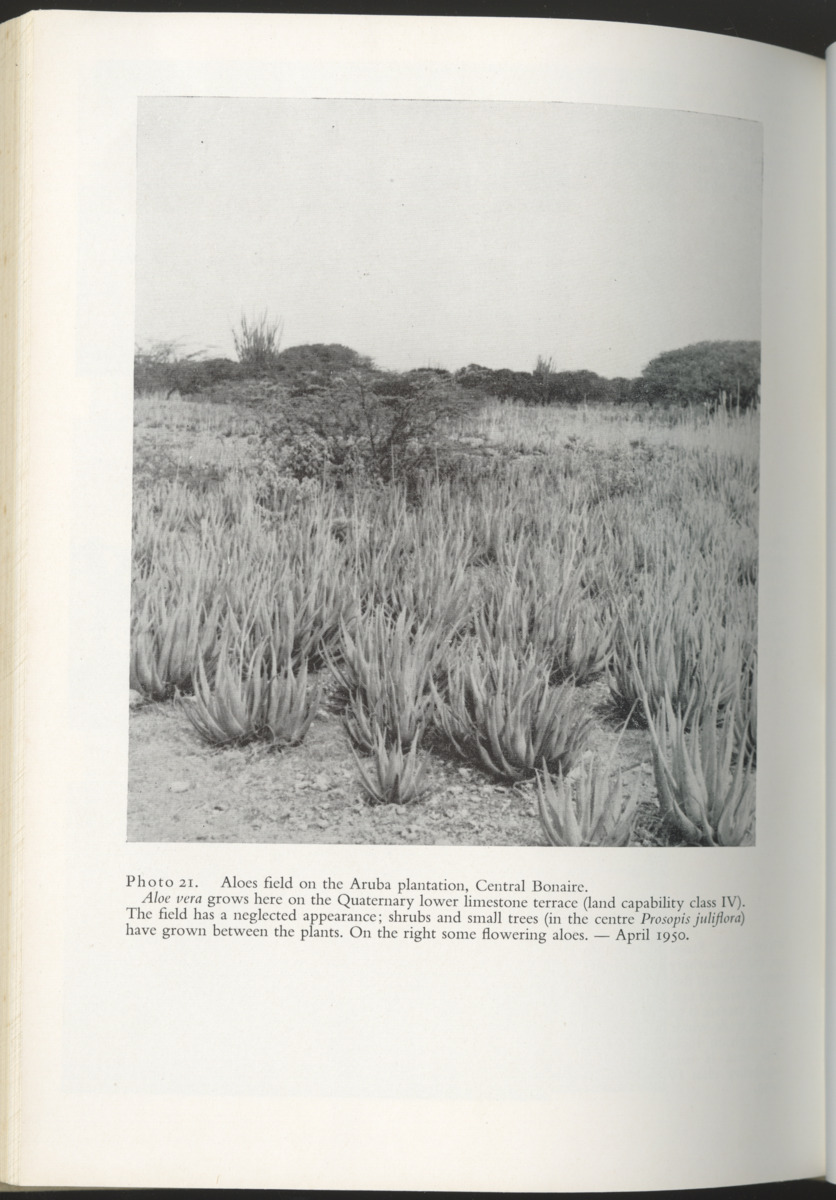 Photo-geological observations and land capability & land use survey of the Island of Bonaire (Netherlands Antilles) - New Page