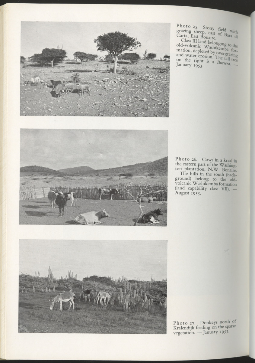 Photo-geological observations and land capability & land use survey of the Island of Bonaire (Netherlands Antilles) - New Page