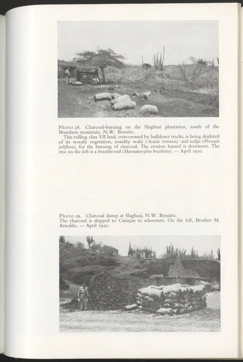 Photo-geological observations and land capability & land use survey of the Island of Bonaire (Netherlands Antilles) - New Page