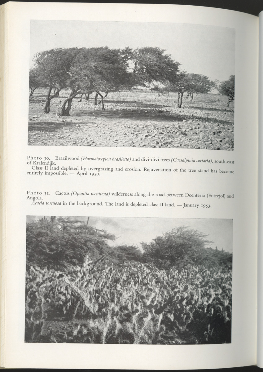 Photo-geological observations and land capability & land use survey of the Island of Bonaire (Netherlands Antilles) - New Page