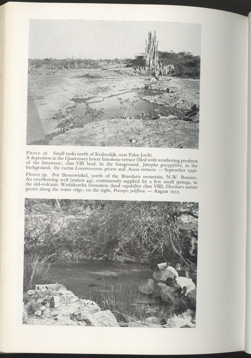 Photo-geological observations and land capability & land use survey of the Island of Bonaire (Netherlands Antilles) - New Page
