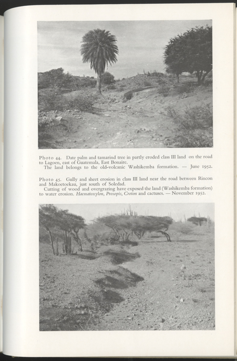 Photo-geological observations and land capability & land use survey of the Island of Bonaire (Netherlands Antilles) - New Page