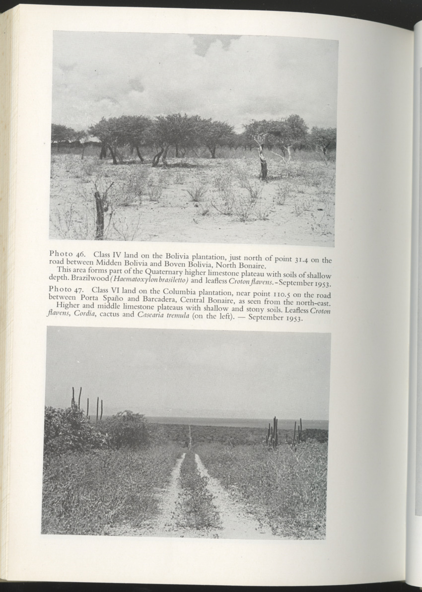 Photo-geological observations and land capability & land use survey of the Island of Bonaire (Netherlands Antilles) - New Page