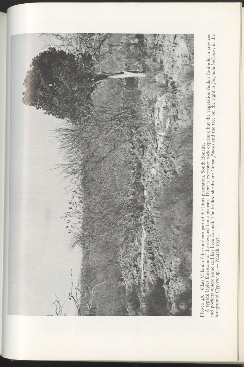 Photo-geological observations and land capability & land use survey of the Island of Bonaire (Netherlands Antilles) - New Page