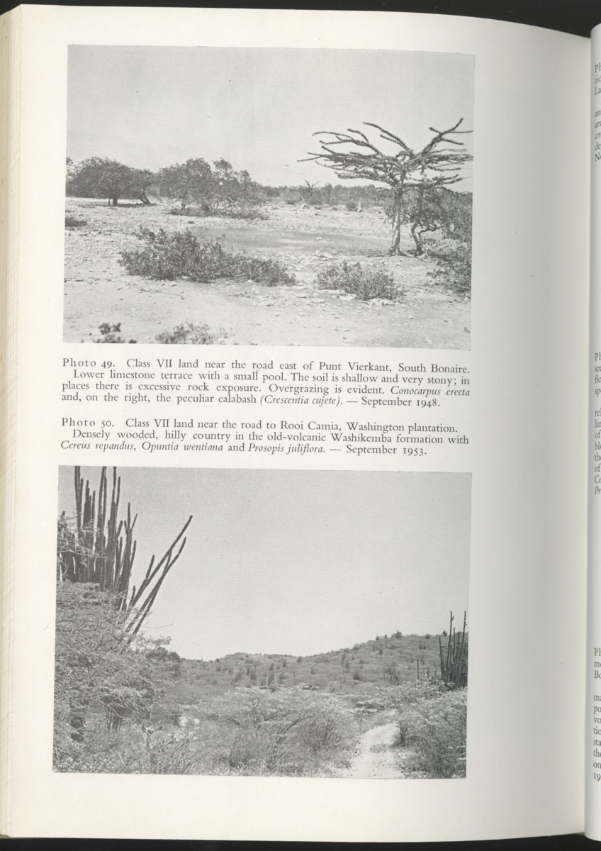 Photo-geological observations and land capability & land use survey of the Island of Bonaire (Netherlands Antilles) - New Page