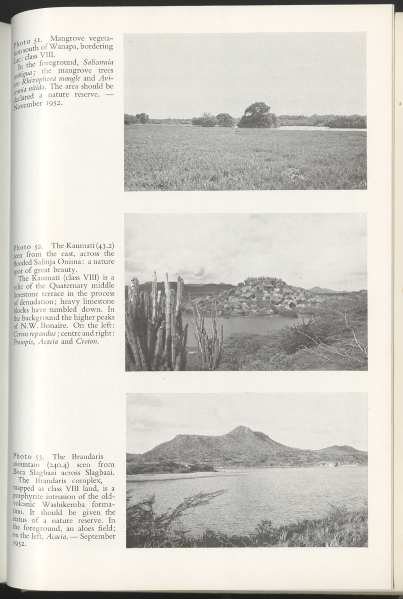 Photo-geological observations and land capability & land use survey of the Island of Bonaire (Netherlands Antilles) - New Page
