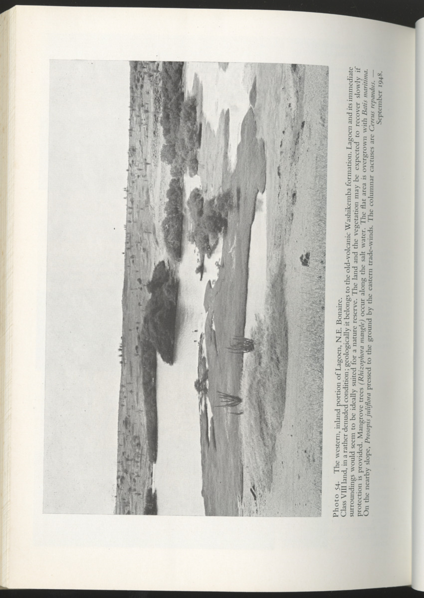 Photo-geological observations and land capability & land use survey of the Island of Bonaire (Netherlands Antilles) - New Page