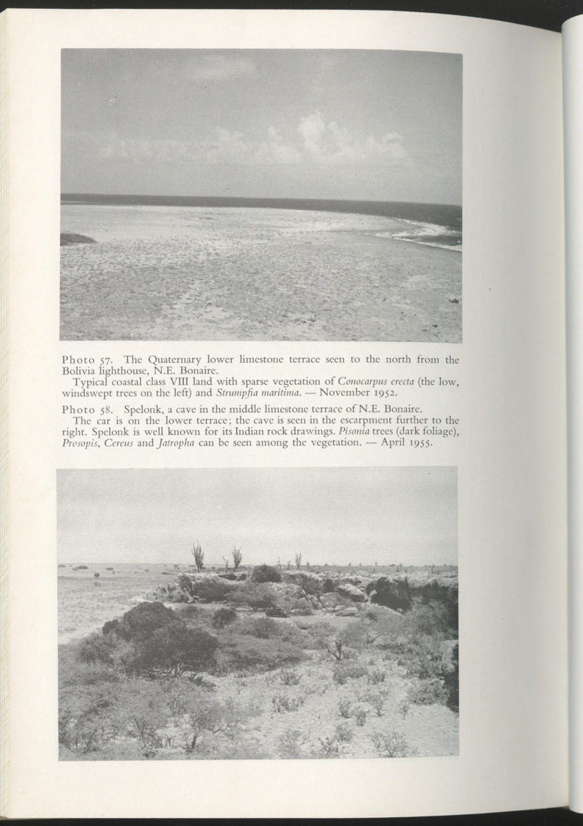 Photo-geological observations and land capability & land use survey of the Island of Bonaire (Netherlands Antilles) - New Page