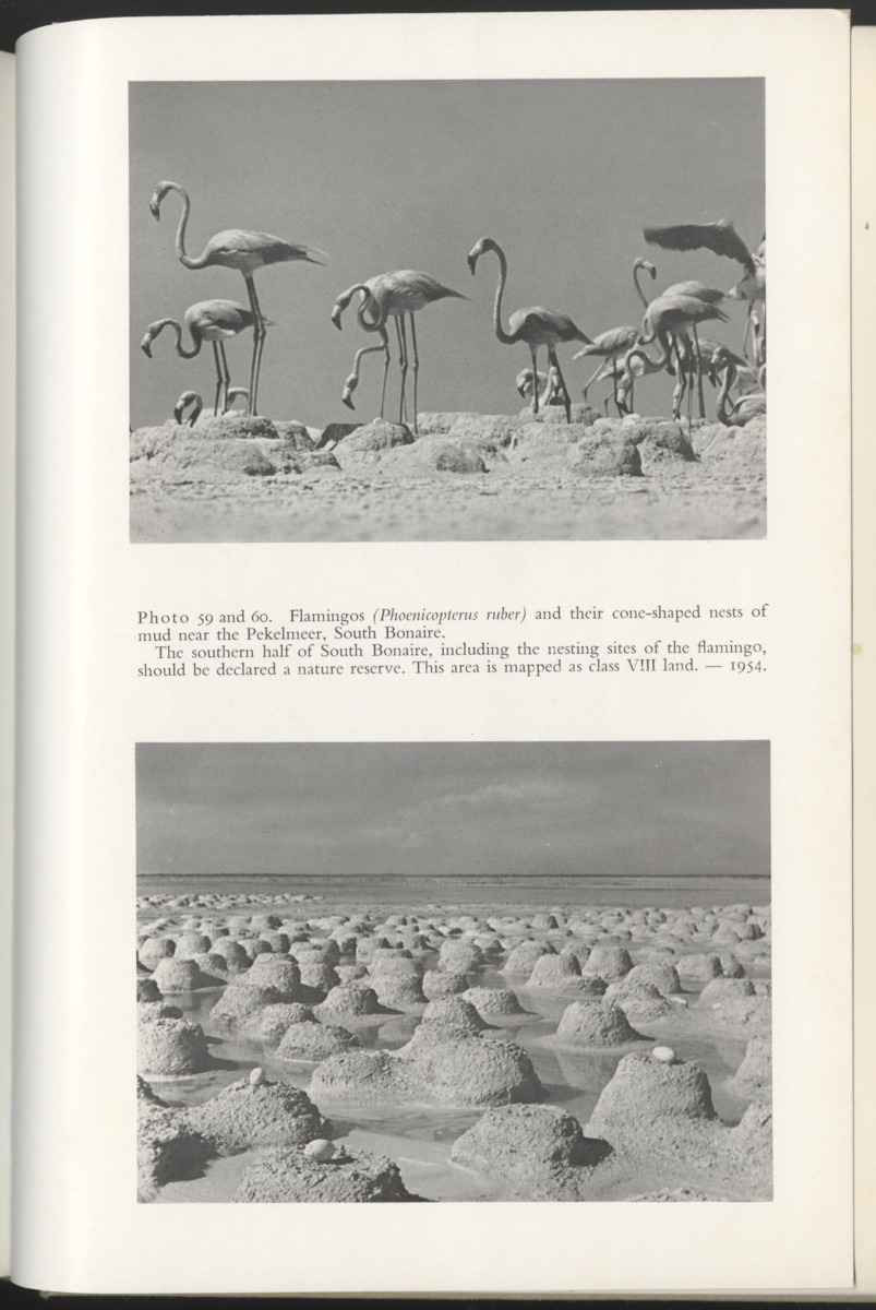Photo-geological observations and land capability & land use survey of the Island of Bonaire (Netherlands Antilles) - New Page