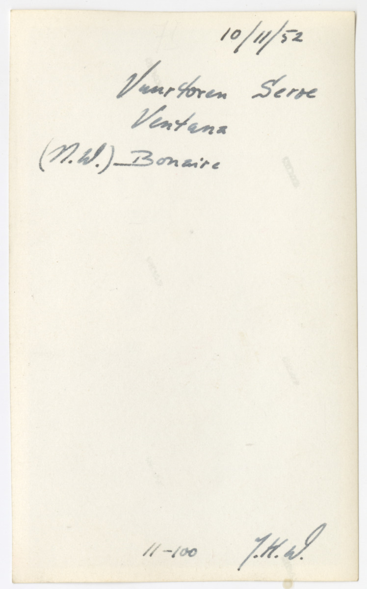 Pictures of Bonaire 1952-1955 - New Page