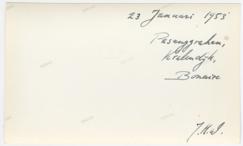 Pictures of Bonaire 1952-1955 - New Page