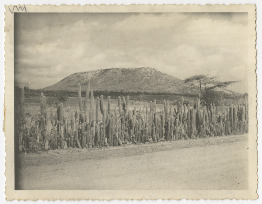 Pictures of Curacao 1943-1955 - New Page