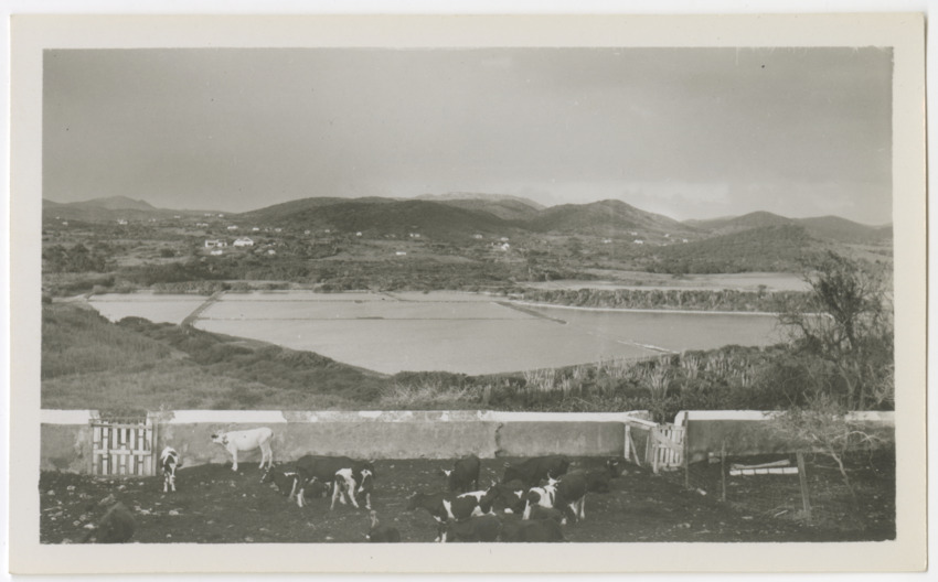 Pictures of Curacao 1943-1955 - New Page