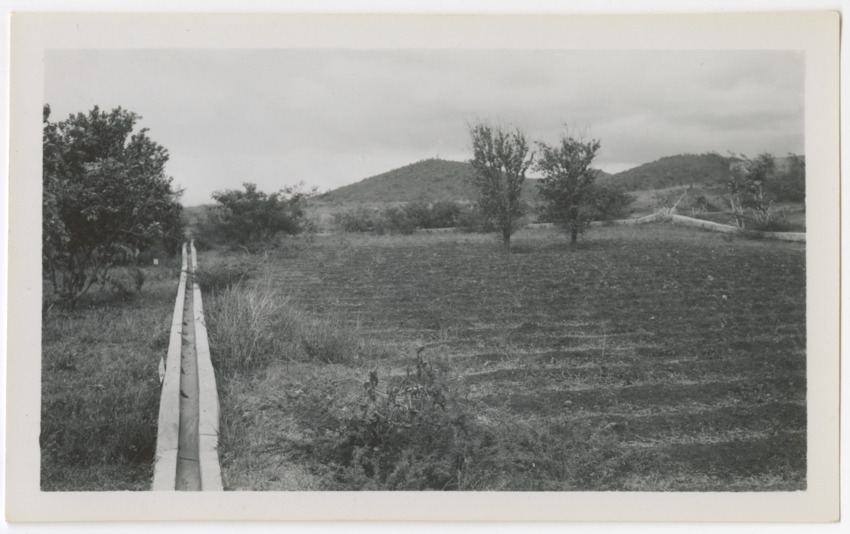 Pictures of Curacao 1943-1955 - New Page