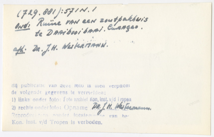 Pictures of Curacao 1943-1955 - New Page