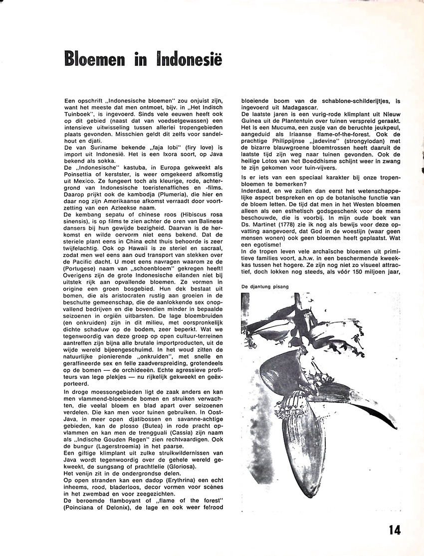 Oost en West - jaargang 64, 1971 - New Page