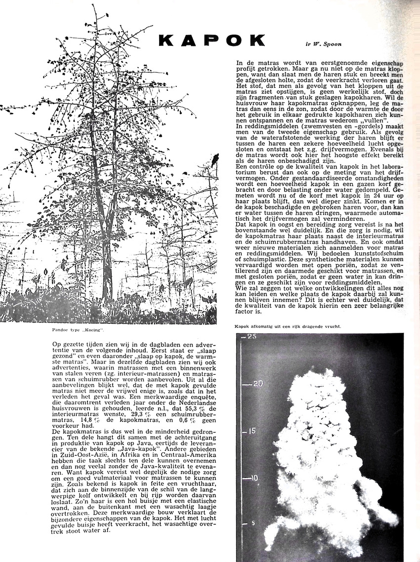 Oost en West - jaargang 50, 1957 - New Page