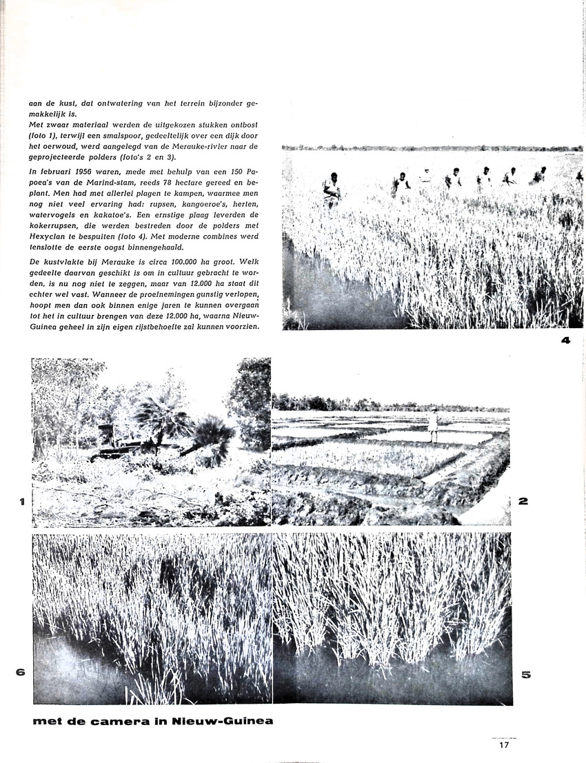 Oost en West - jaargang 50, 1957 - New Page