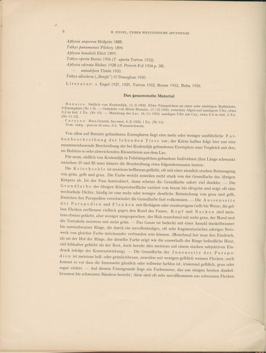 Ueber Westindische Aplysiidae und verwandten anderer gebiete - Capita Zoologica Vol VIII, part 1 (Zoologische Ergebnisse einer Reise nach Bonaire, Curacao und Aruba, nr 23) - New Page