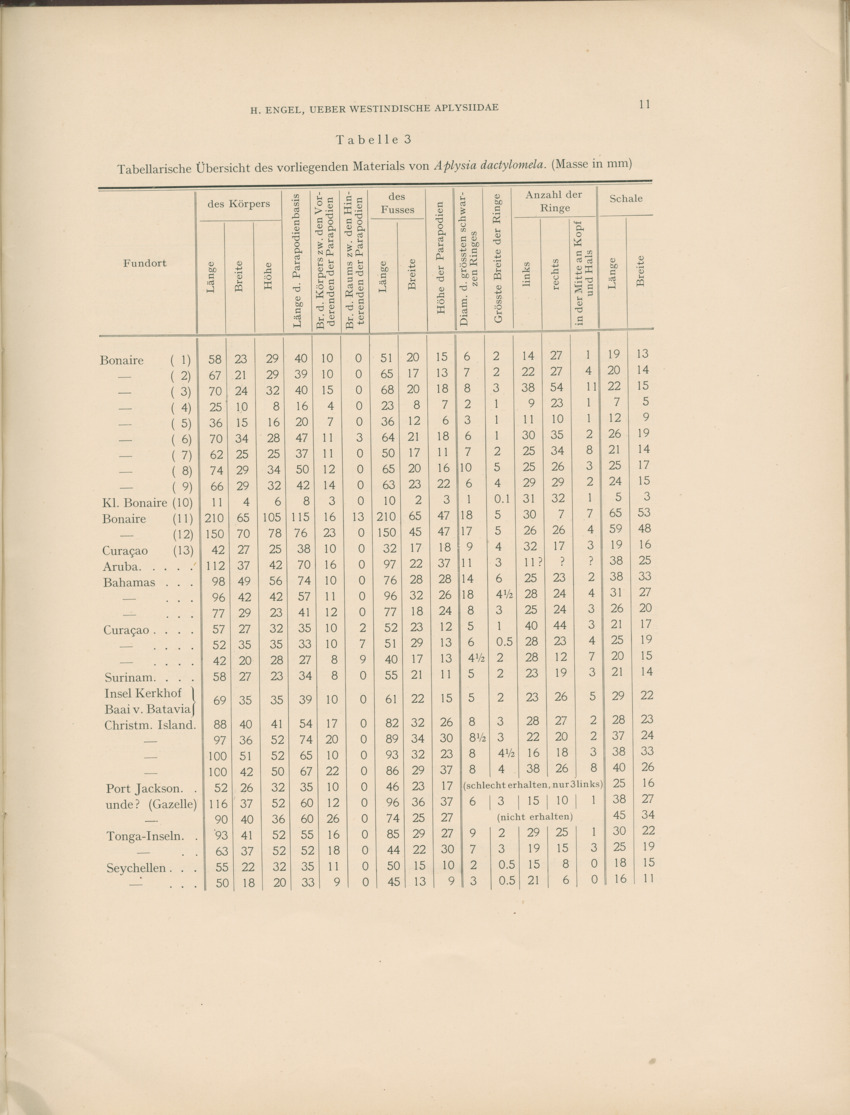 Ueber Westindische Aplysiidae und verwandten anderer gebiete - Capita Zoologica Vol VIII, part 1 (Zoologische Ergebnisse einer Reise nach Bonaire, Curacao und Aruba, nr 23) - New Page