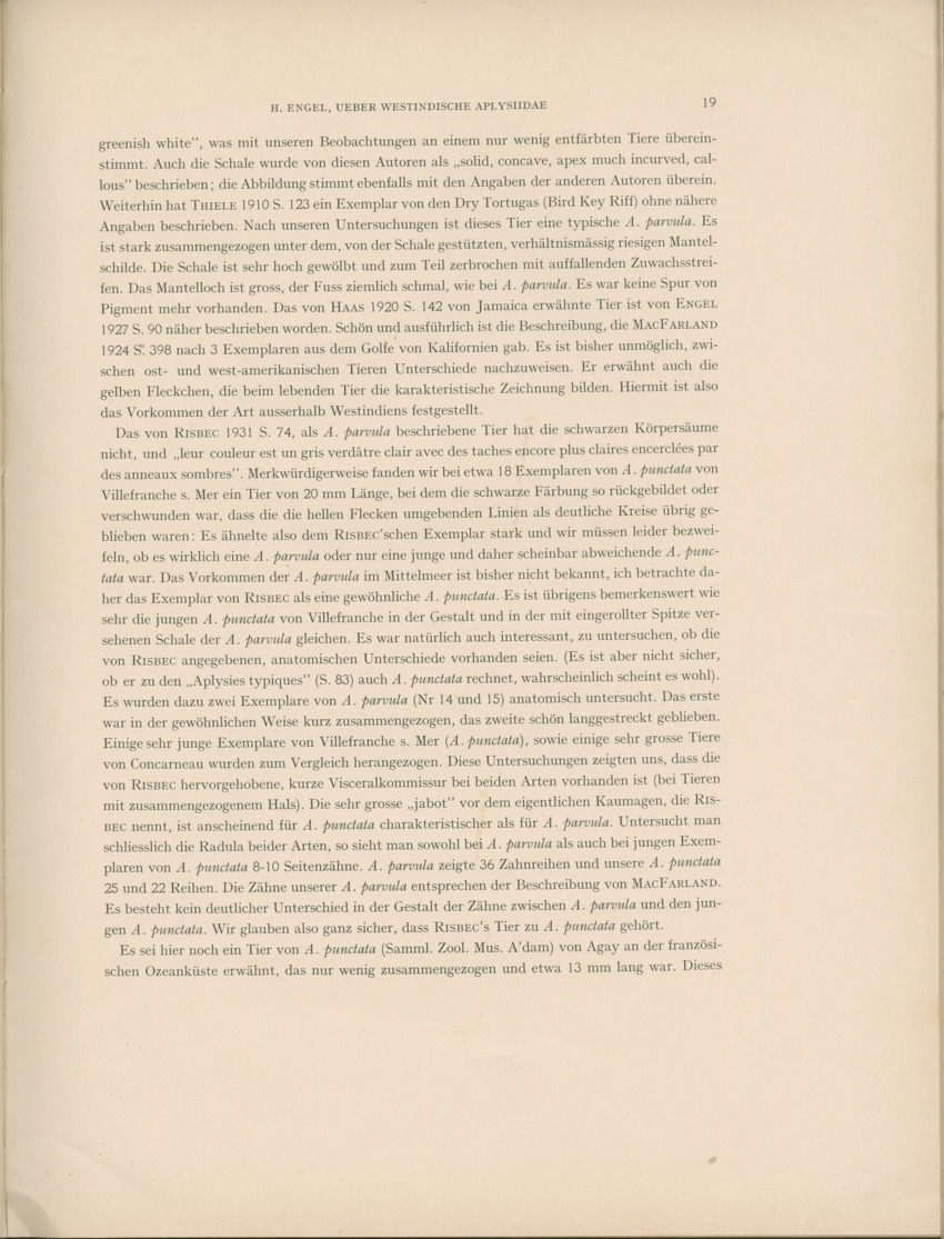 Ueber Westindische Aplysiidae und verwandten anderer gebiete - Capita Zoologica Vol VIII, part 1 (Zoologische Ergebnisse einer Reise nach Bonaire, Curacao und Aruba, nr 23) - New Page