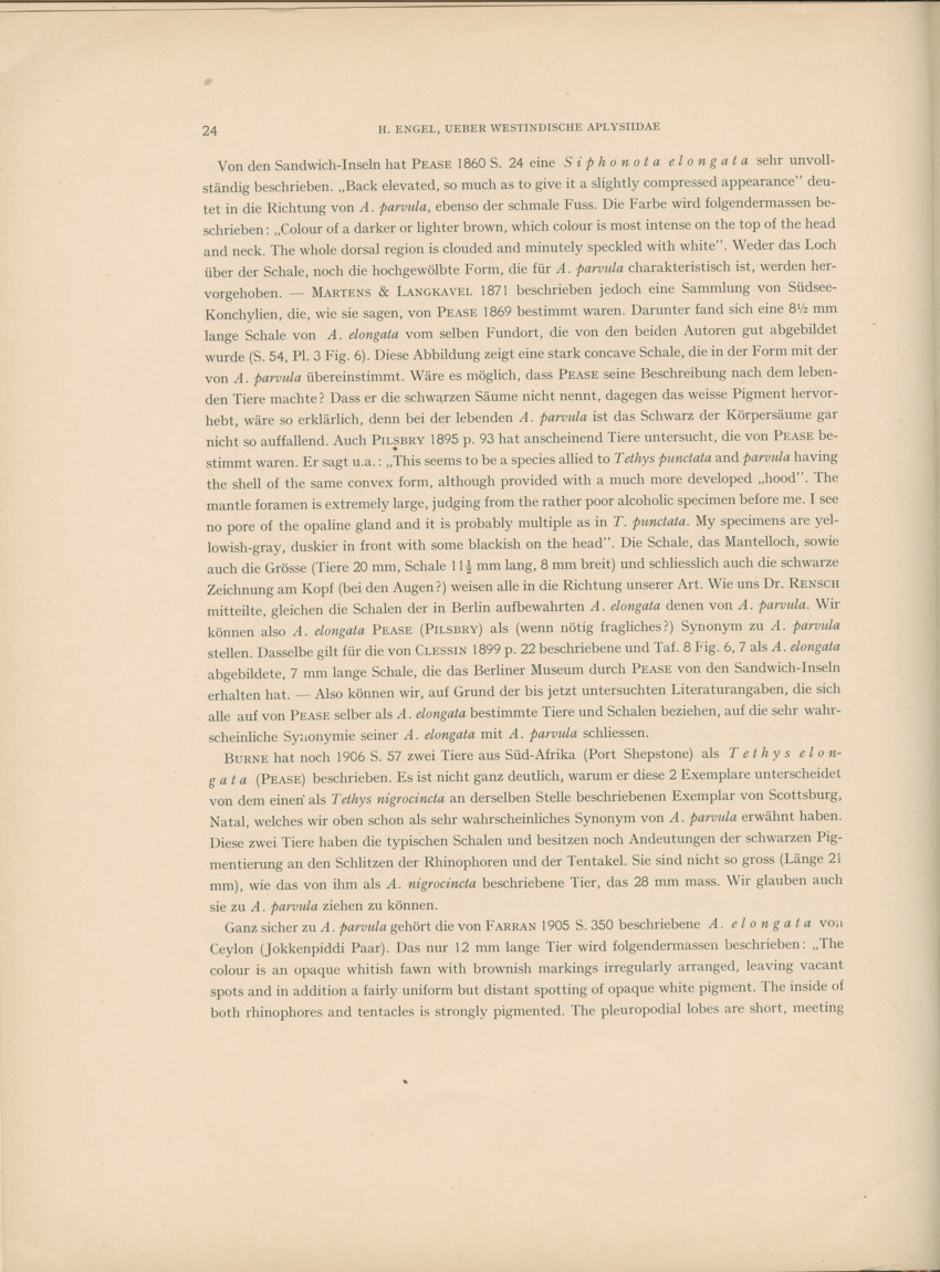 Ueber Westindische Aplysiidae und verwandten anderer gebiete - Capita Zoologica Vol VIII, part 1 (Zoologische Ergebnisse einer Reise nach Bonaire, Curacao und Aruba, nr 23) - New Page