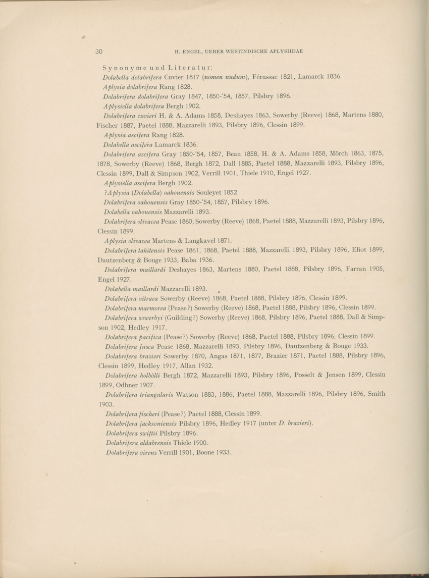 Ueber Westindische Aplysiidae und verwandten anderer gebiete - Capita Zoologica Vol VIII, part 1 (Zoologische Ergebnisse einer Reise nach Bonaire, Curacao und Aruba, nr 23) - New Page