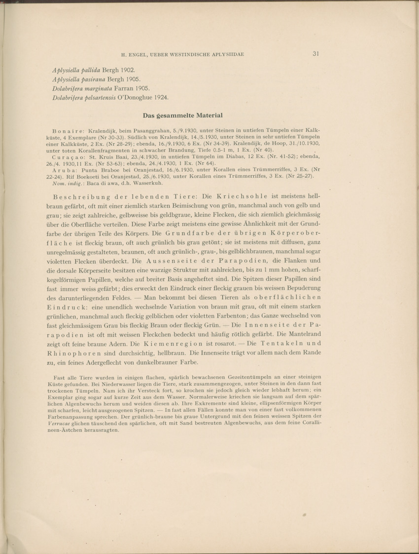 Ueber Westindische Aplysiidae und verwandten anderer gebiete - Capita Zoologica Vol VIII, part 1 (Zoologische Ergebnisse einer Reise nach Bonaire, Curacao und Aruba, nr 23) - New Page